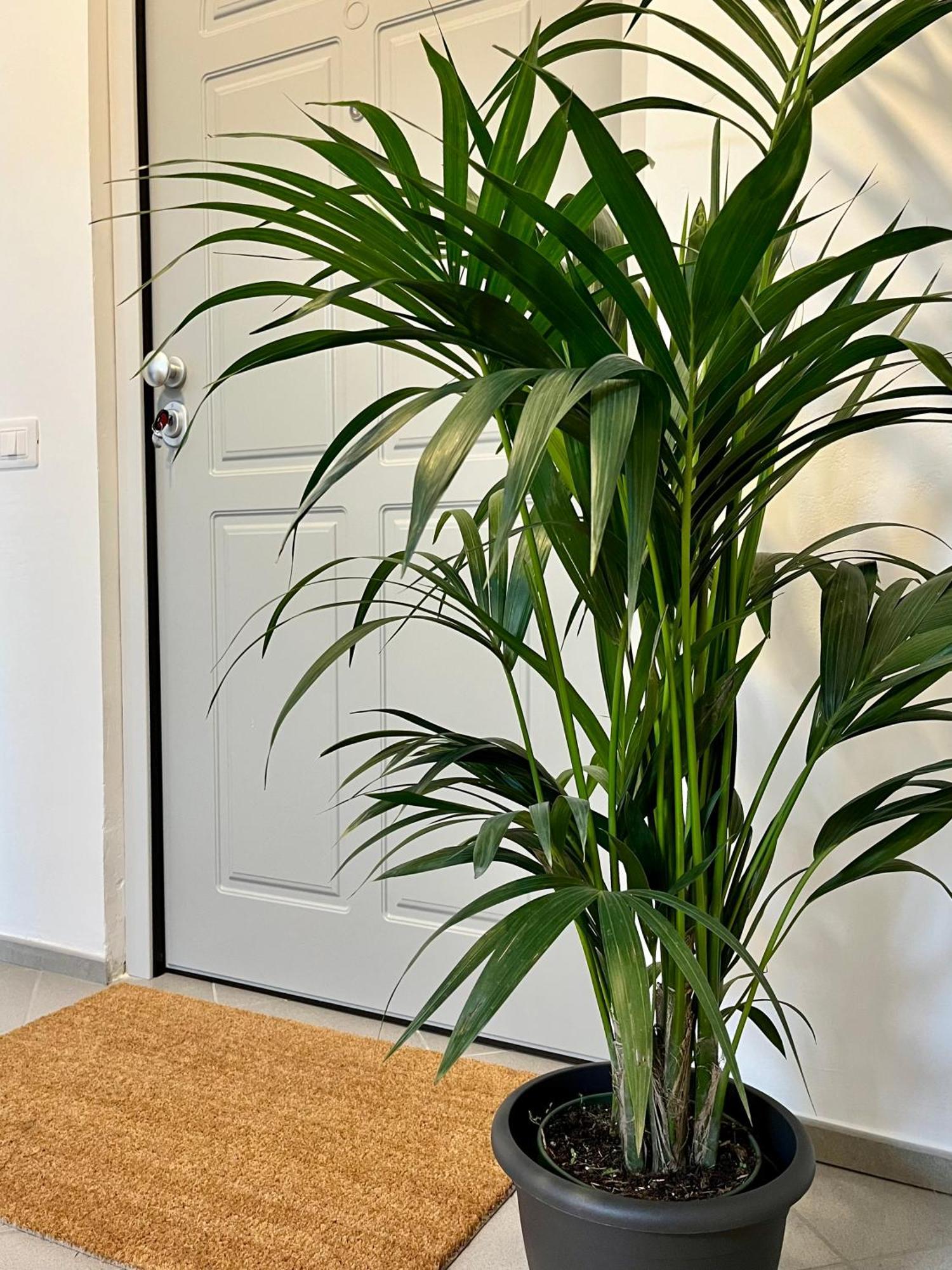San Martino Holiday Apartments Nizza Monferrato Zewnętrze zdjęcie